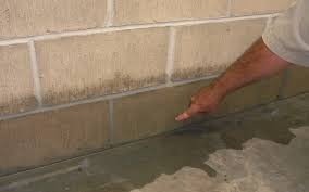 These 3 Things Are Sure Signs You Need Basement Waterproofing